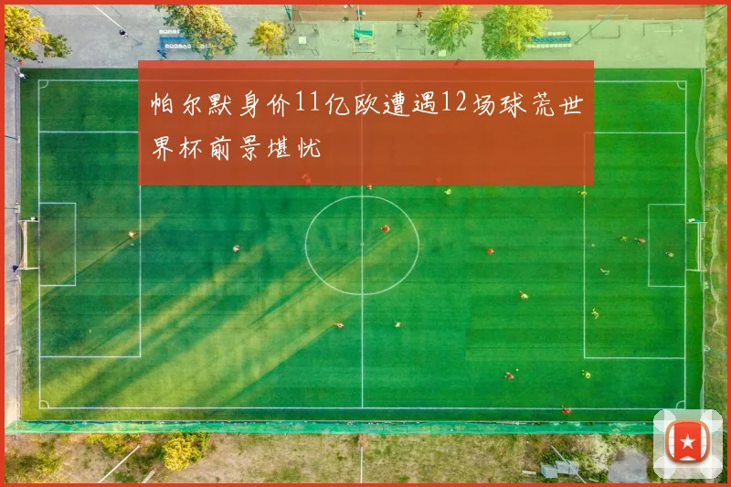 帕尔默身价11亿欧遭遇12场球荒世界杯前景堪忧